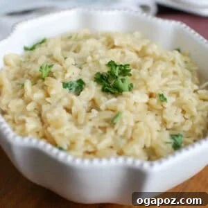 Bowl of creamy 4-Ingredient Cheesy Orzo with a spoon