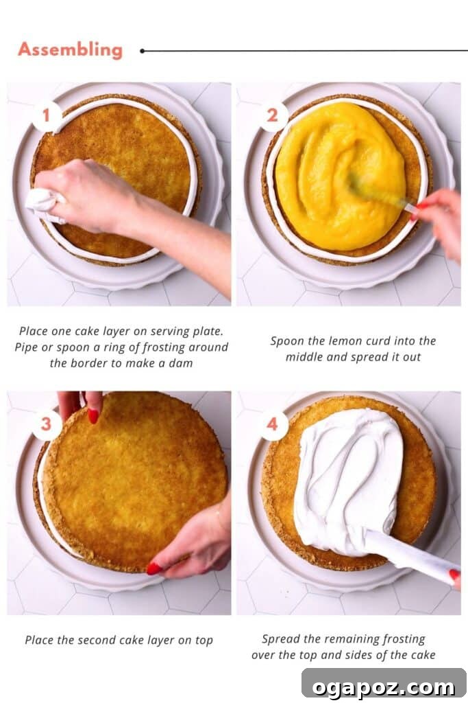 Zesty Lemon Curd Delight 12 The final stages of assembling a two-layer lemon cake: a ring of frosting creates a dam for the lemon curd filling, followed by the second cake layer, and finally, the entire cake is covered in smooth white frosting.