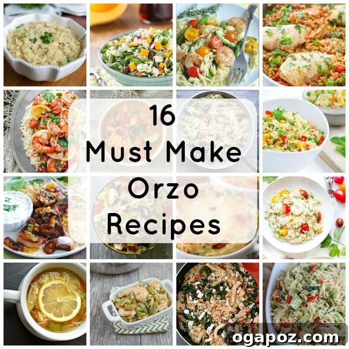 16 Must Make Orzo Recipes- so good