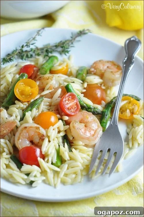 Lemon-Mustard-Orzo-Salad-with-Shrimp-blog-2