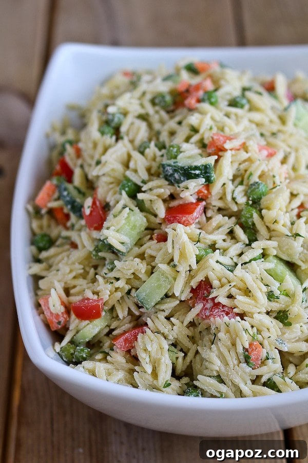 orzo-salad-yogurt-dill-dressing-600-2-of-4