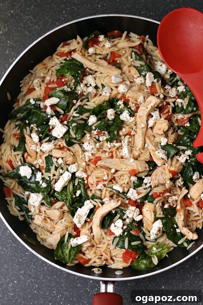 chicken-spinach-orzo-skillet1