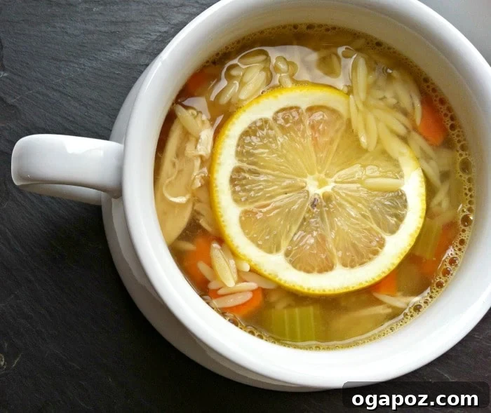 Lemon-Chicken-Orzo-soup-8