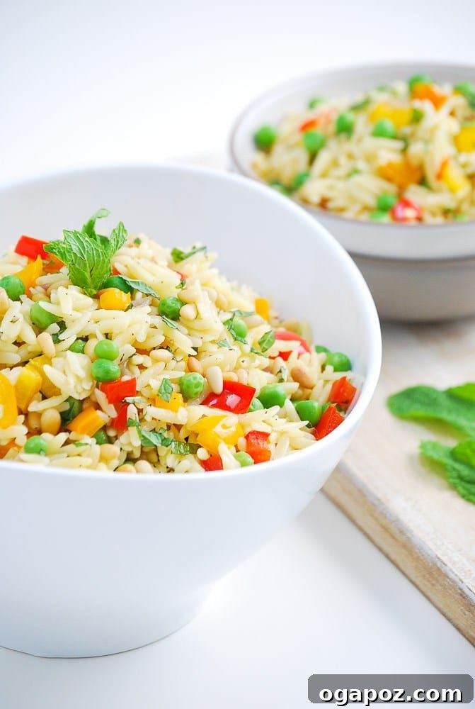 Roastedvegetableorzosalad-4