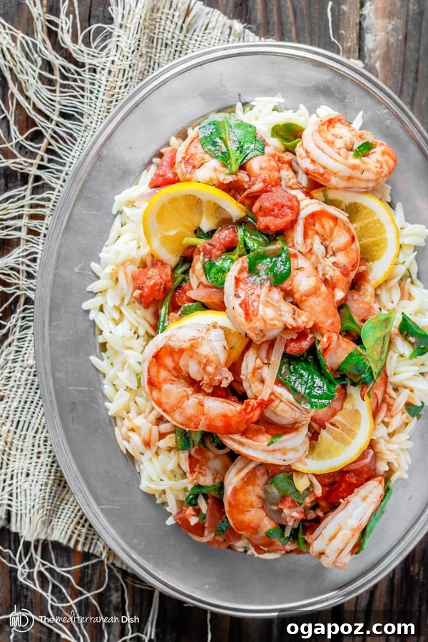 Garlic-Tomato-Shrimp-Orzo-Pasta-5