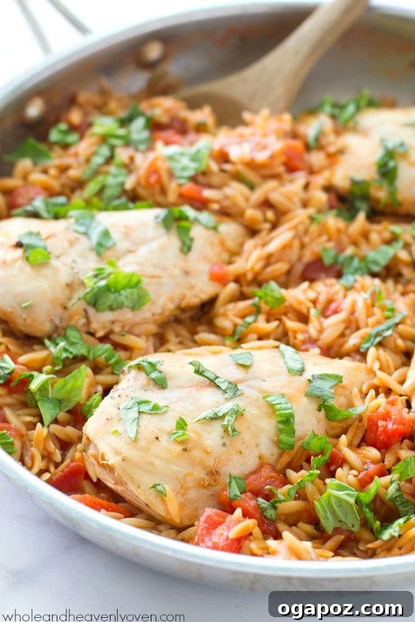 One-Pot-Italian-Chicken-and-Orzo