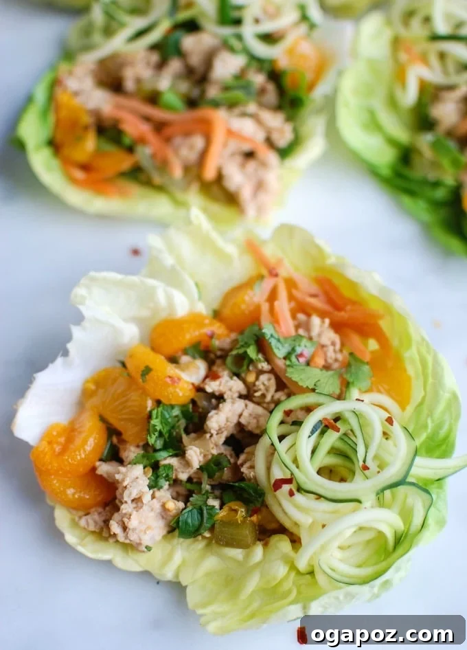 Crisp Asian Chicken Zoodle Cups 2 Delicious Asian Chicken Zoodle Lettuce Wraps, perfect for Chinese New Year
