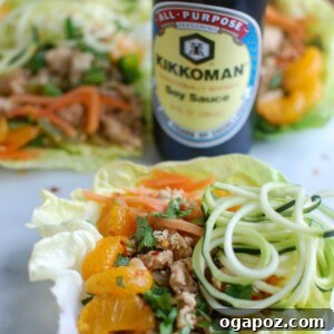 Final plated Asian Chicken Zoodle Lettuce Wraps
