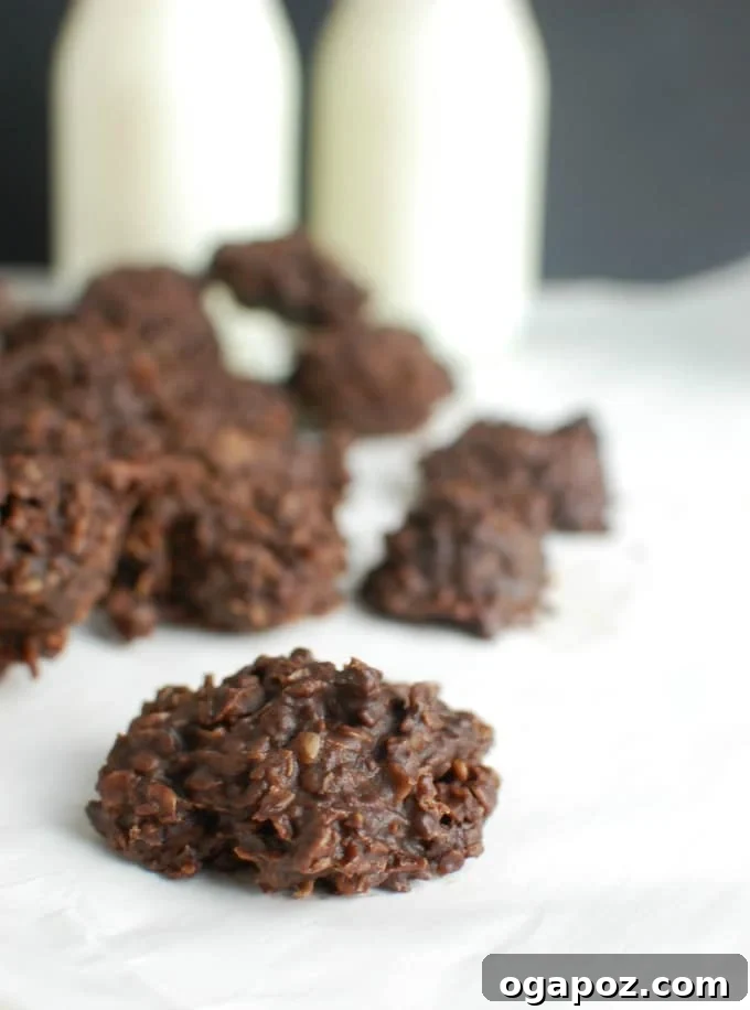 Effortless No-Bake Delights 2 Delicious No Bake Cookies served with milk, showcasing a healthier dessert option.