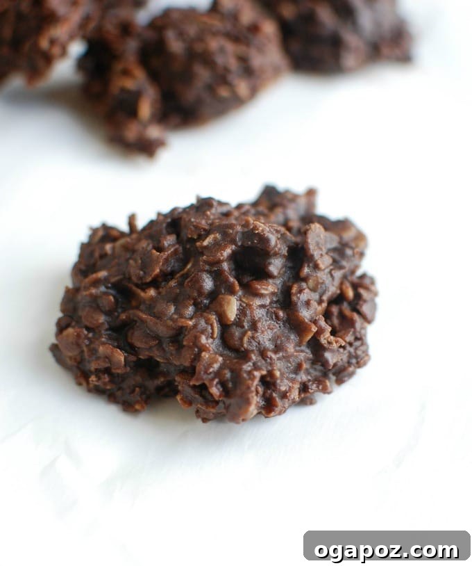 Effortless No-Bake Delights 3 Close-up of a single No Bake Cookie, highlighting its texture and deliciousness.