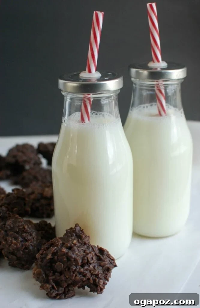 Effortless No-Bake Delights 4 No Bake Cookies on a white plate, ready to be enjoyed with a glass of milk.