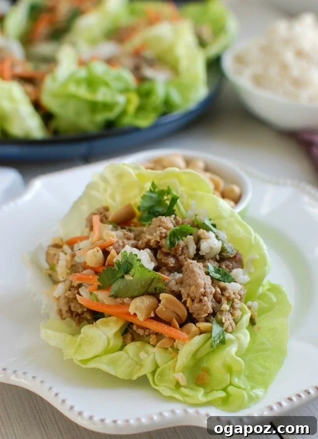 Delicious Thai Turkey Brown Rice Lettuce Wraps ready for a healthy lunch or dinner