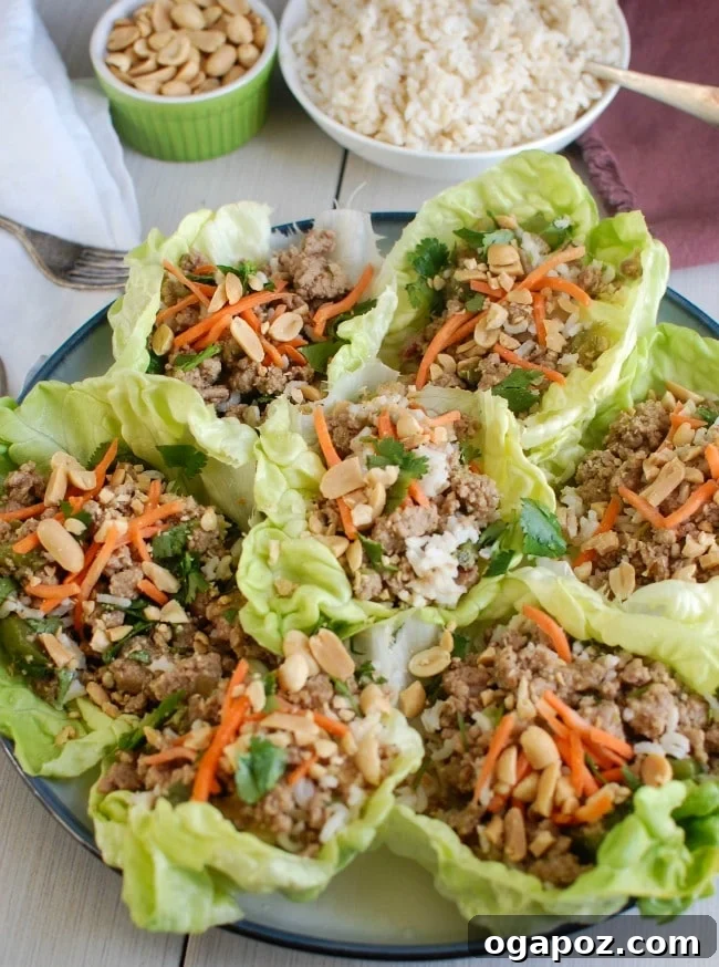 Fresh ingredients laid out for making healthy Thai Turkey Brown Rice Lettuce Wraps