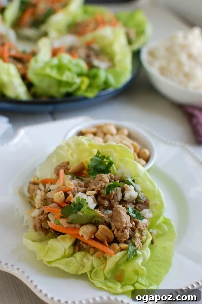 Thai Turkey Brown Rice Lettuce Wraps: A healthy meal with Asian flavors, ground turkey, and fresh garnishes.