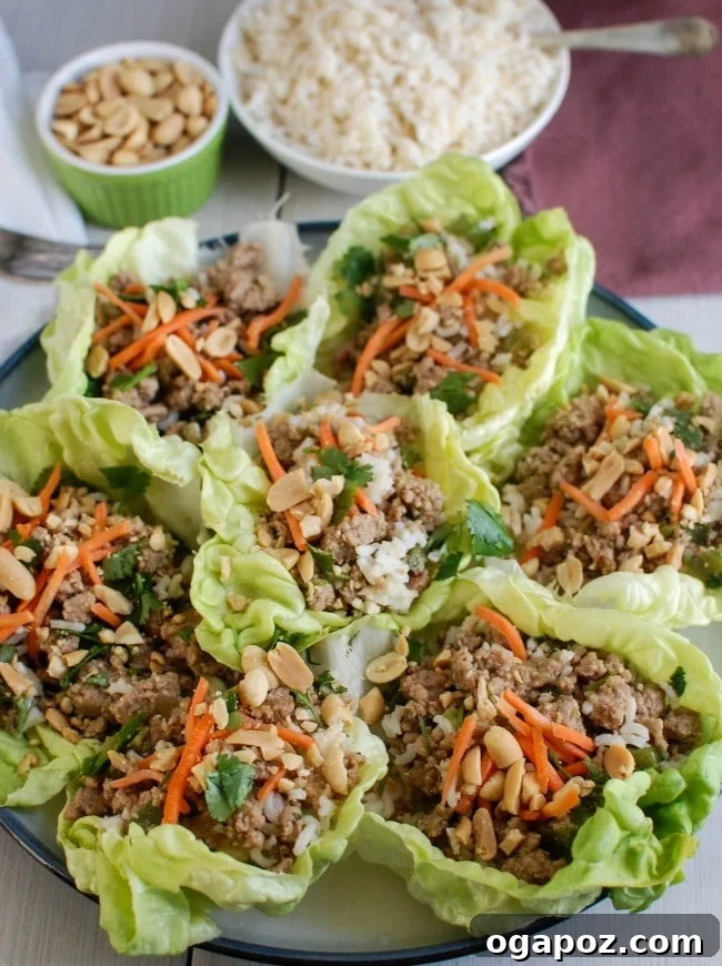 Finished Thai Turkey Brown Rice Lettuce Wraps with fresh cilantro and carrots