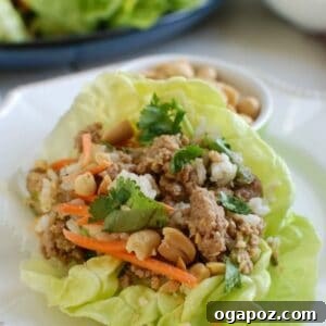 Asian lettuce wraps with meat and vegetables.