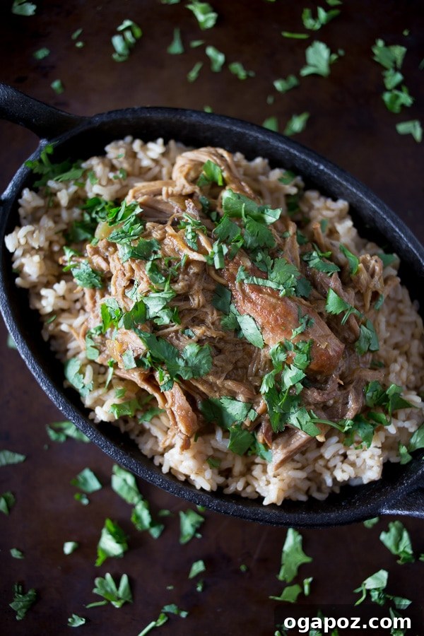 26 Effortless Slow Cooker Dinners 11 slow-cooker-honey-mustard-pulled-pork-3
