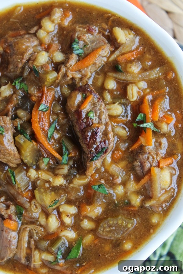 26 Effortless Slow Cooker Dinners 13 IMG_0604