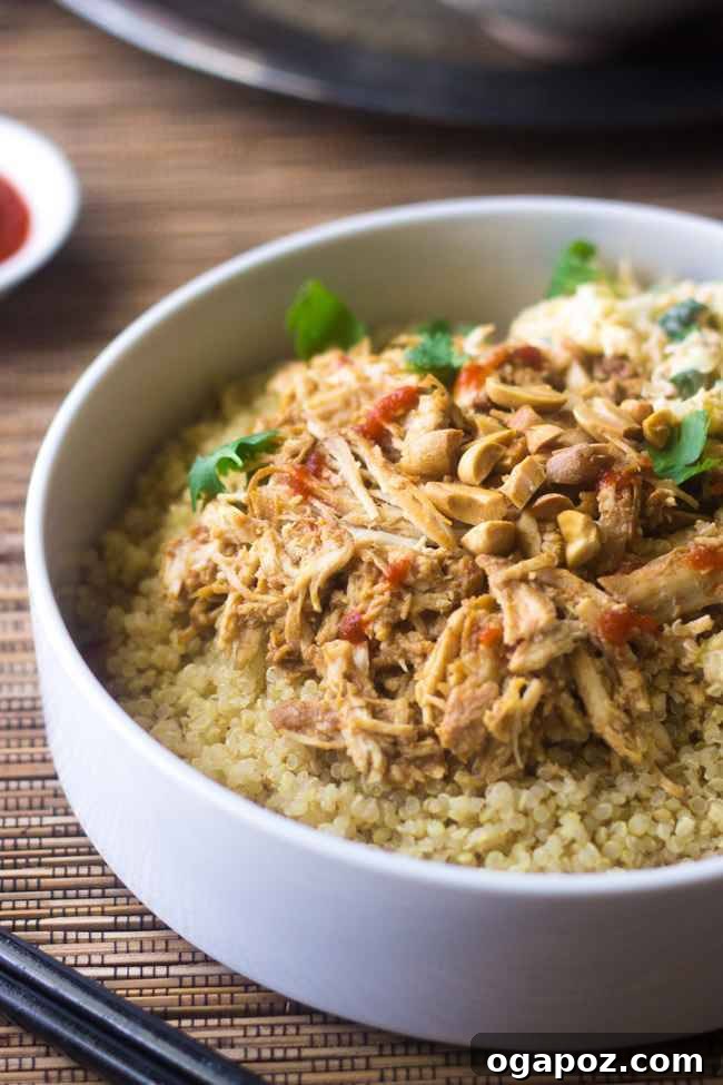 26 Effortless Slow Cooker Dinners 14 Thai-chicken-photograph