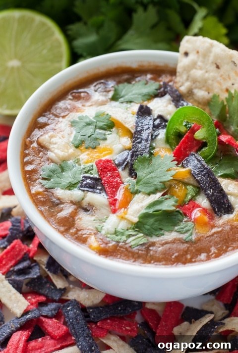 26 Effortless Slow Cooker Dinners 20 homemade-slow-cooker-crockpot-chicken-tortilla-soup-recipe-680x2-0673-480x713