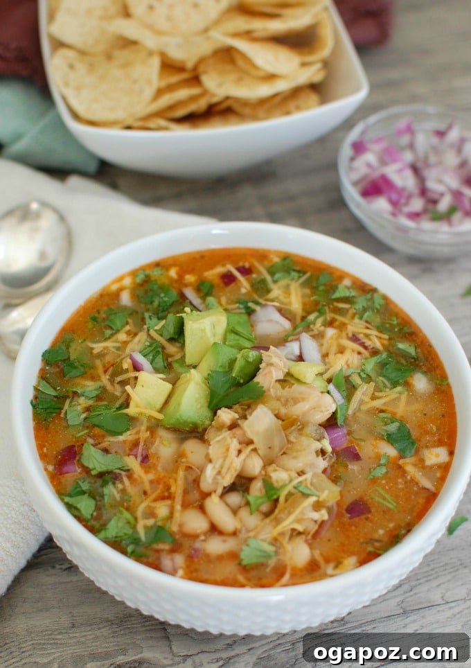 Velvety Slow Cooker White Chicken Chili 3 Close-up of Slow Cooker White Chicken Chili garnished with fresh red onions and cilantro.