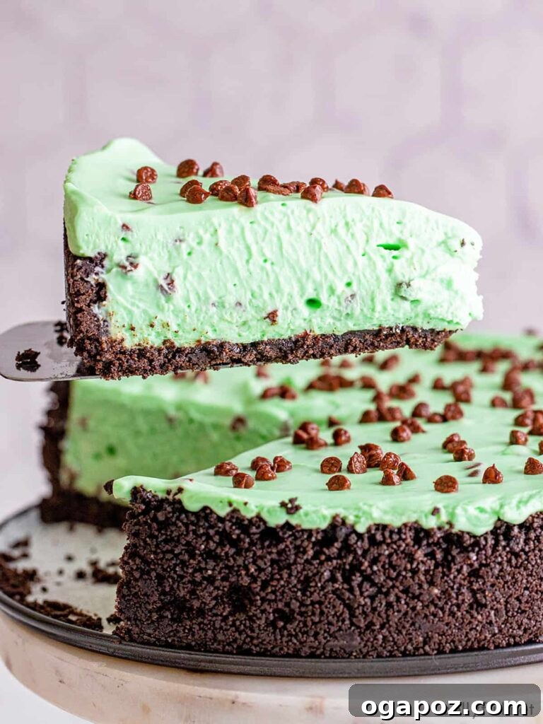 Luck of the Irish: Delicious Green Desserts for St Patricks Day 16 A slice of mint chocolate chip no-bake cheesecake on a spatula, showcasing a creamy green filling and a dark cookie crust, an ideal St. Patrick's Day dessert.