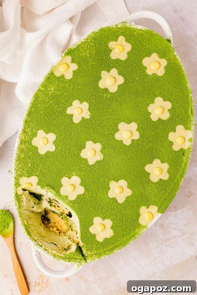 Luck of the Irish: Delicious Green Desserts for St Patricks Day 8 Matcha tiramisu dessert presented in a large bowl, with delicate flower designs on top. The dessert features layers of ultra-creamy matcha filling and ladyfingers soaked in matcha and dusted with matcha powder, offering a unique green dessert option.