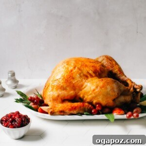 Roast turkey on a serving platter with cranberry sauce.