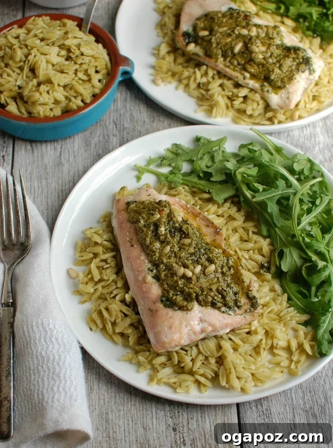 Double Pesto Salmon & Orzo 3 Pesto Salmon with Parmesan Pesto Orzo - healthy dinner