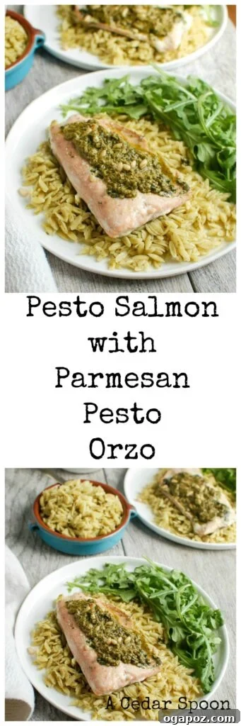 Double Pesto Salmon & Orzo 5 Pesto Salmon with Parmesan Pesto Orzo - healthy meal