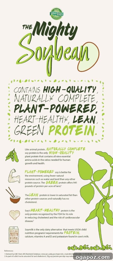 Fresh Wok-Tossed Shrimp & Edamame 4 Infographic illustrating the nutritional benefits of soy protein, including amino acids, fiber, iron, and calcium.