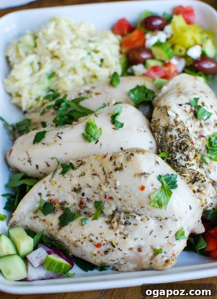 Mediterranean Chicken and Cool Tzatziki Orzo Salad 2 Greek Chicken with Tzatziki Orzo Salad in a big white dish, showcasing a full portion ready to be served.