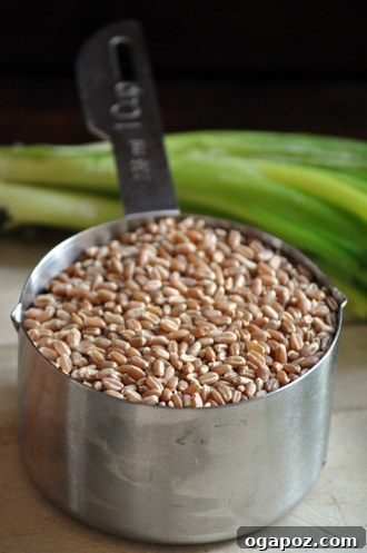 Vibrant Wheat Berry Salad with Apricots and Scallions 3 A close-up of uncooked wheat berries, showing their natural grain texture and potential for a wholesome meal.