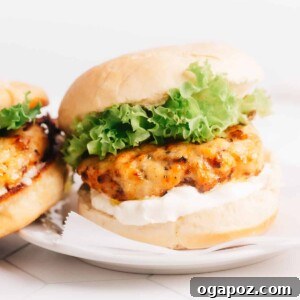 Air Fryer Turkey Burgers