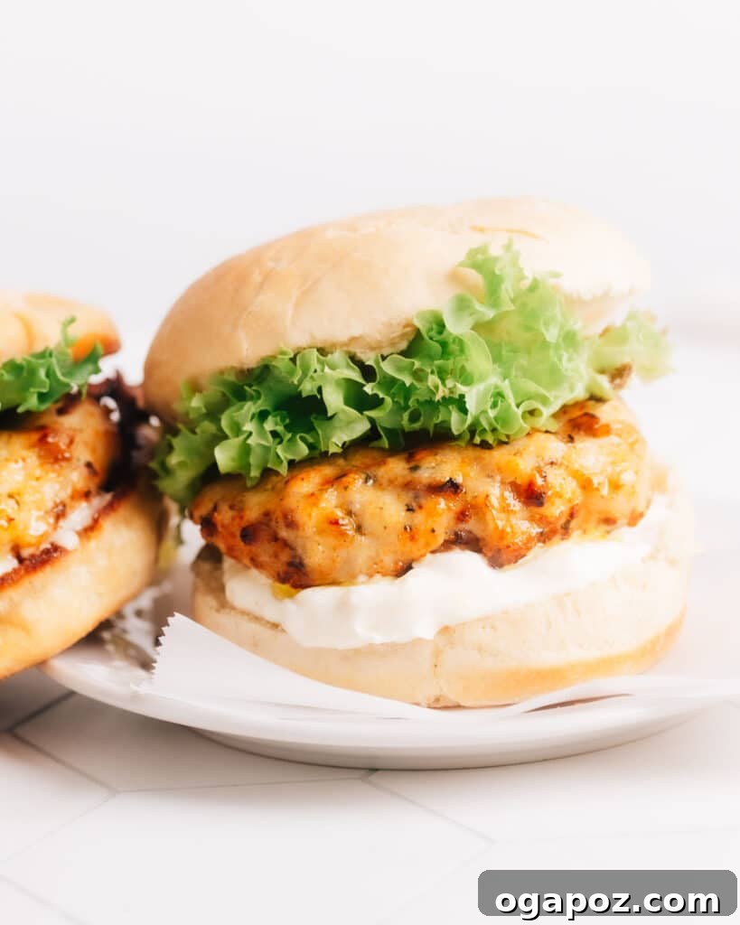 Flawless Air Fryer Turkey Burgers 10 img 20800 9