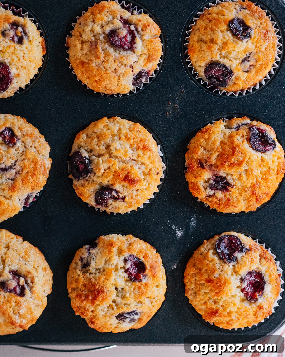 Bursting Cherry Muffins 8 Freshly baked cherry muffins cooling in a muffin tin, their golden tops and visible cherries inviting a taste.