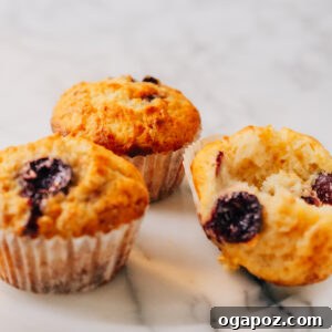 Cherry Muffins on a plate.