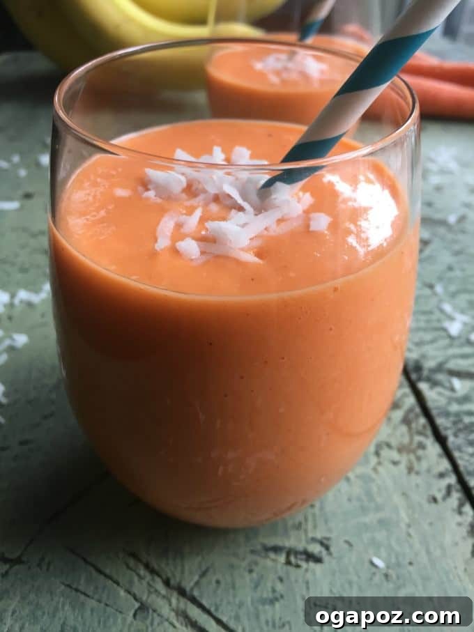 32 Delicious Wholesome Recipes Kids Will Adore 30 Carrot Coconut Smoothie, a refreshing and nutritious smoothie packed with flavor.