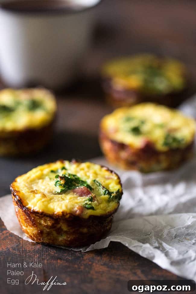 32 Delicious Wholesome Recipes Kids Will Adore 4 Egg Muffins with Ham, Kale, and Cauliflower Rice, a hearty and nutritious breakfast option.