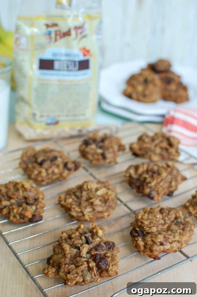 32 Delicious Wholesome Recipes Kids Will Adore 5 Banana Muesli Breakfast Cookies, a healthy and delicious cookie for breakfast or snack time.