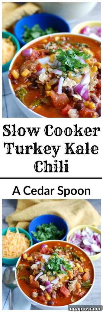Wholesome Slow-Cooked Turkey and Kale Chili 7 A serving of Slow Cooker Turkey Kale Chili, perfect for a cozy meal.
