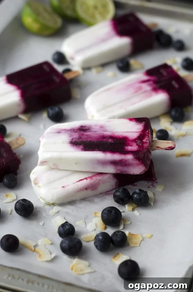 25 Ice Pop Sensations to Conquer Summer Heat 7 Roasted Blueberry Coconut and Lime Popsicles, a unique blend of sweet, tangy, and creamy flavors.