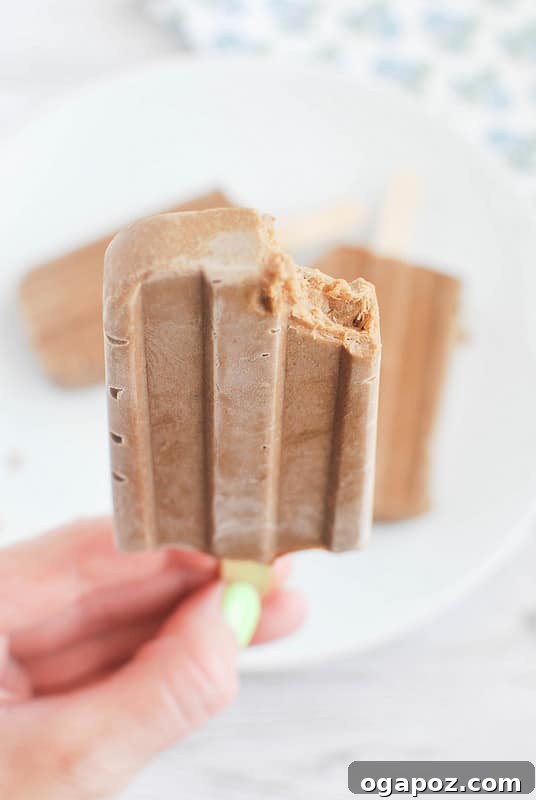 25 Ice Pop Sensations to Conquer Summer Heat 17 Healthy Paleo Fudge Pops, a dairy-free and guilt-free chocolate frozen treat.