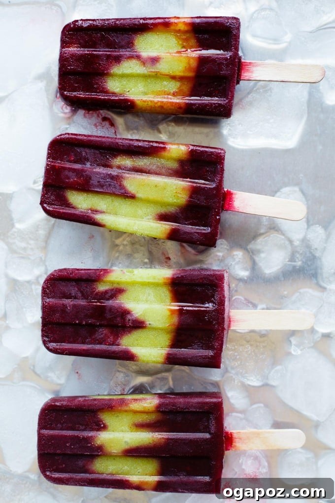 25 Ice Pop Sensations to Conquer Summer Heat 25 Gourmet Blackberry Fig Sage Popsicles, a sophisticated and fragrant frozen treat.