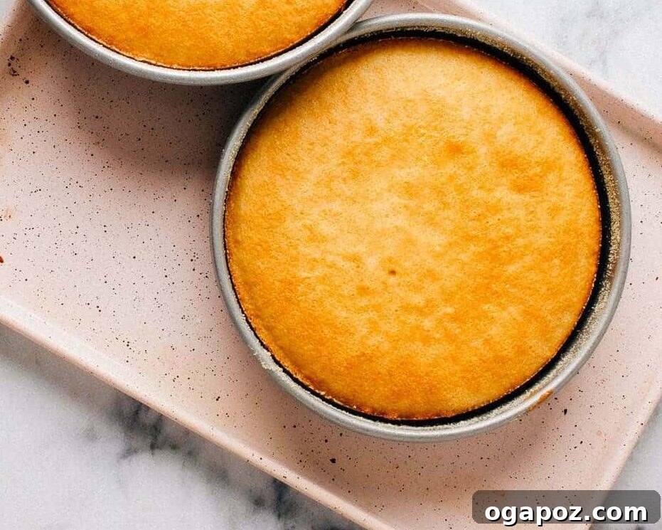 Golden Portuguese Orange Cake 9 Various baking pans, showing different sizes for cakes.