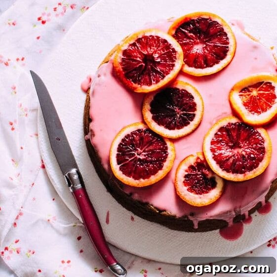 Golden Portuguese Orange Cake 10 A collage of various citrus desserts including cakes and cookies.