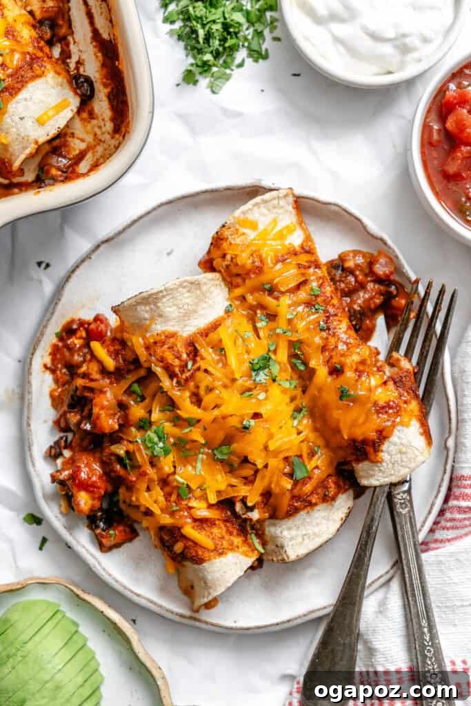Effortless Vegetarian Enchiladas 2 Plate of Easy Vegetarian Enchiladas garnished with fresh cilantro and sour cream.
