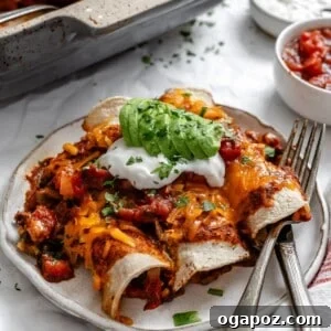 This Easy Vegetarian Enchiladas Recipe