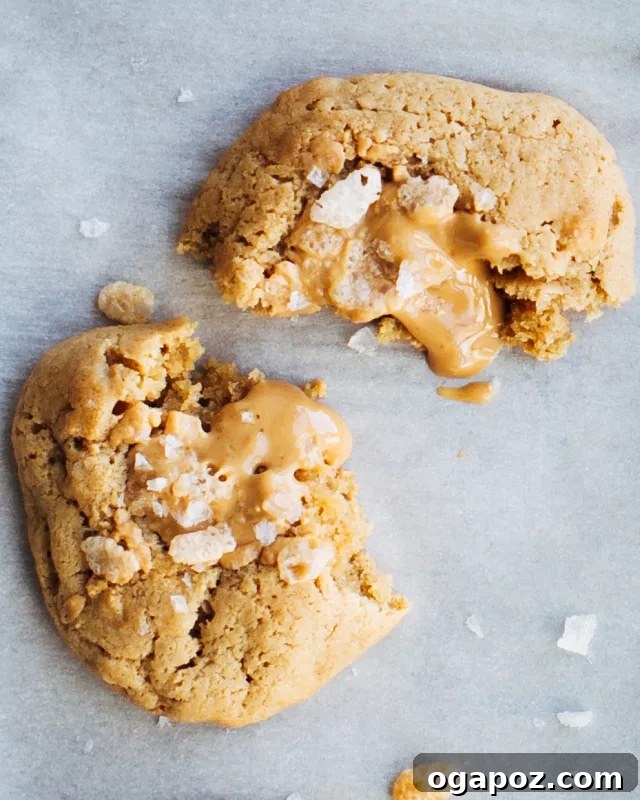 Perfectly Chewy Oatmeal and Peanut Butter Cookies 2 Oatmeal Peanut Butter Cookie broken apart, showing its soft and chewy texture.