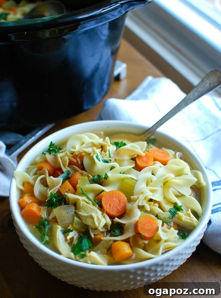 Effortless Comfort Chicken Noodle Soup 2 A steaming bowl of Slow Cooker Chicken Noodle Soup with a silver spoon, garnished with fresh parsley.